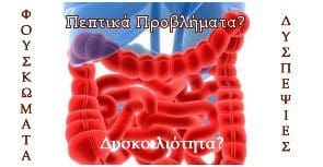 Λειτουργία Πεπτικού